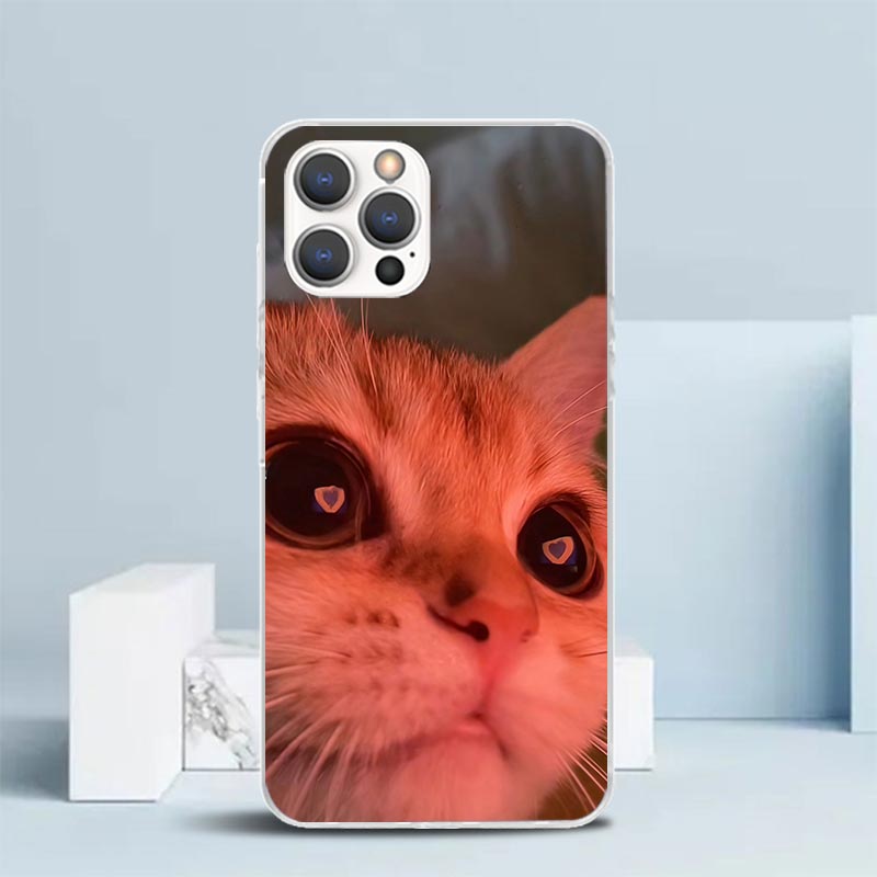 Pet Cat Funny Memes Soft Cover - Phone Cases That Fit Iphone 16E recension och pris