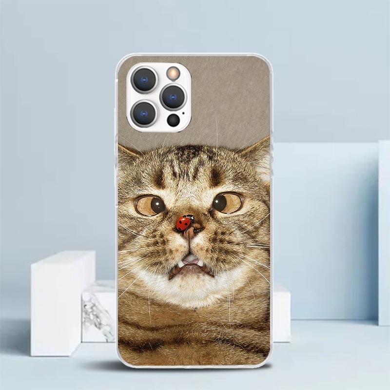 Pet Cat Funny Memes Soft Cover - Phone Cases That Fit Iphone 16E recension och pris